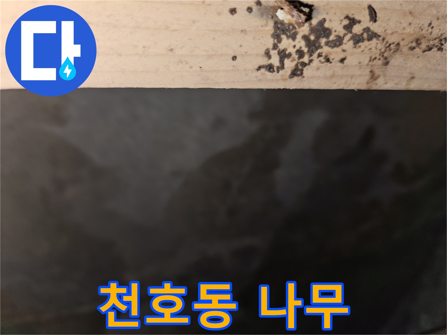 천호동 아파트 누수 - 나무 속 곰팡이 차단 - 최고