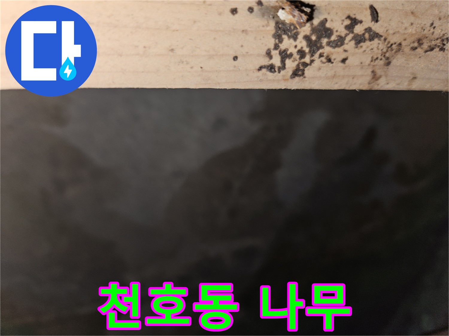 천호동 아파트 누수 - 나무 윗면 곰팡이 차단 - 최고