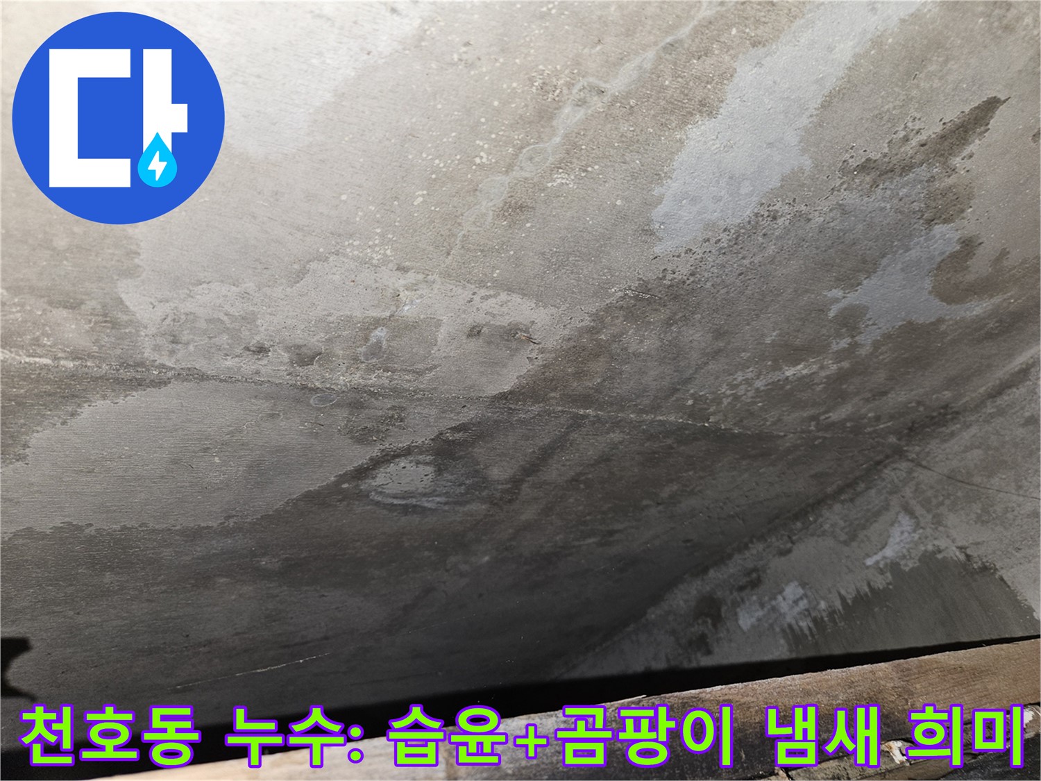 천호동 아파트 누수 - 습윤과 곰팡이 냄새 희미는 누수 초기