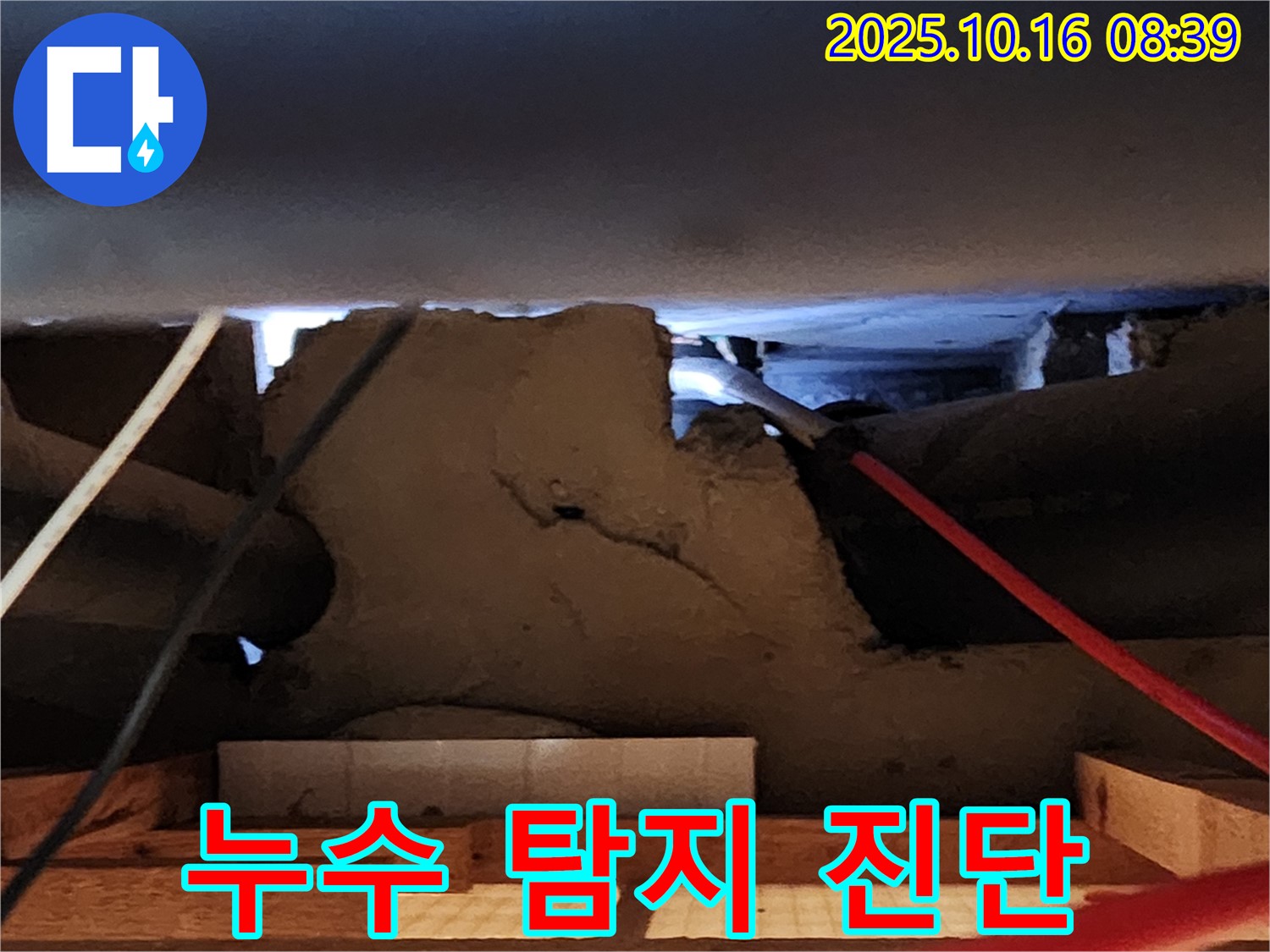 경신리 누수 현장 - 누수 탐지 전문가의 꼼꼼한 진단!