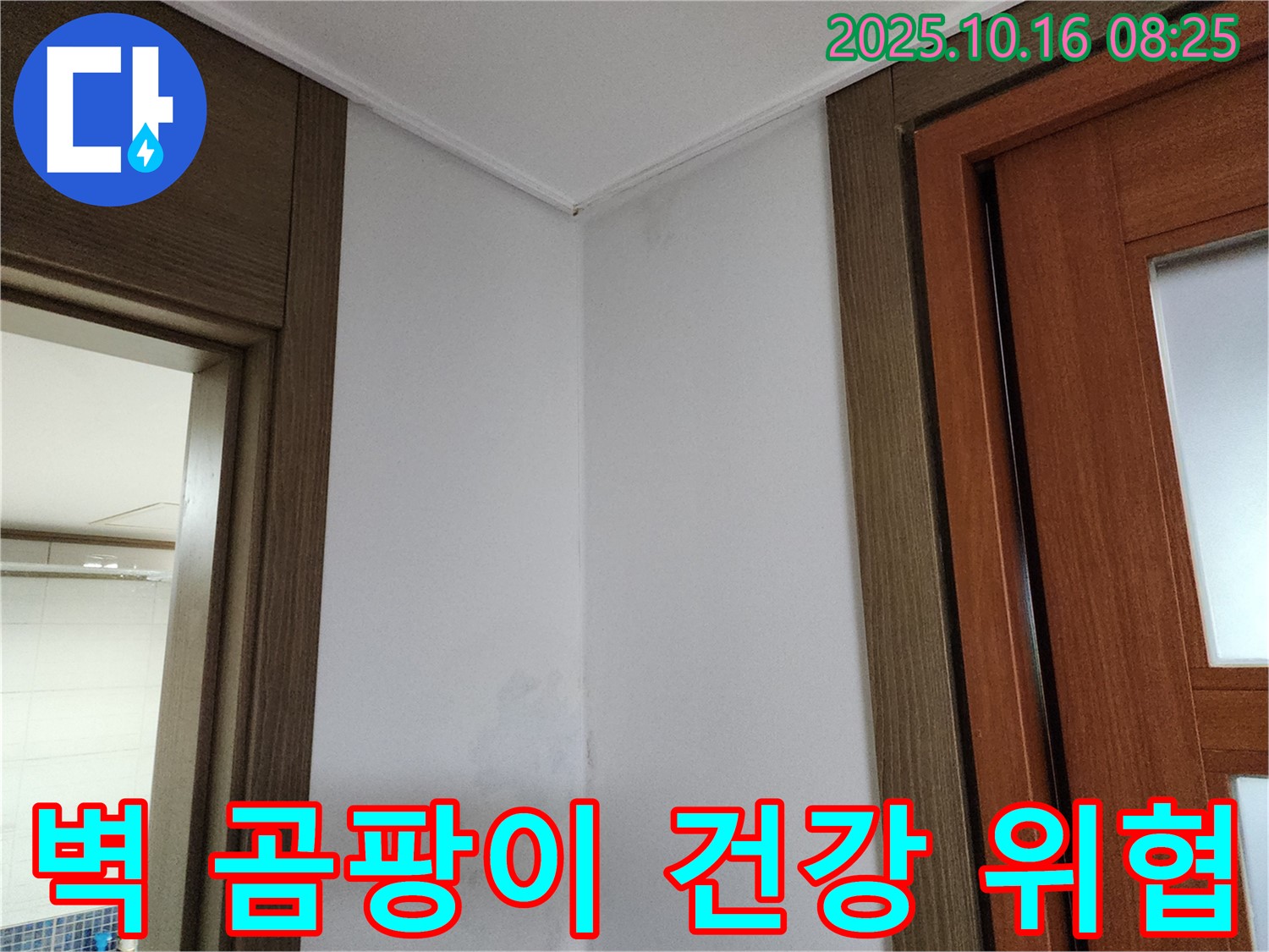 벽 곰팡이 - 건강 위협 - 누수 해결 시급 - 즉시 해결