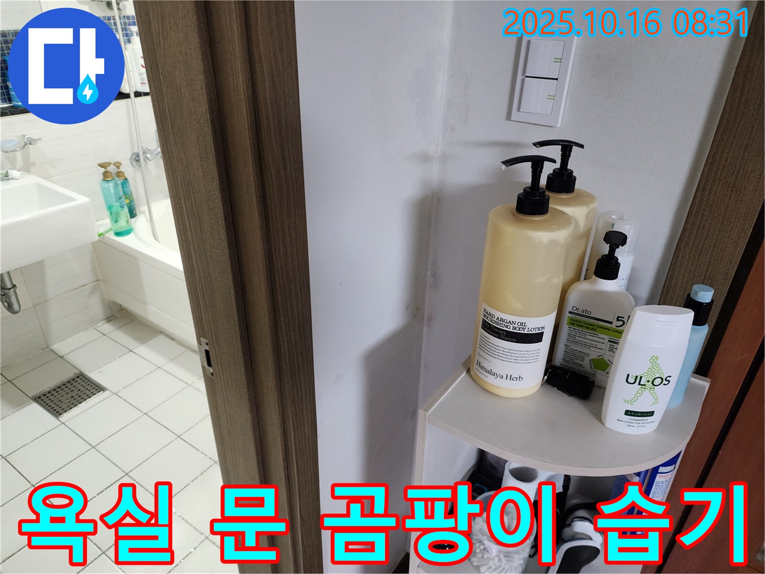 양주 경신리 욕실 누수 - 문 아래 곰팡이, 습기 및 누수 점검