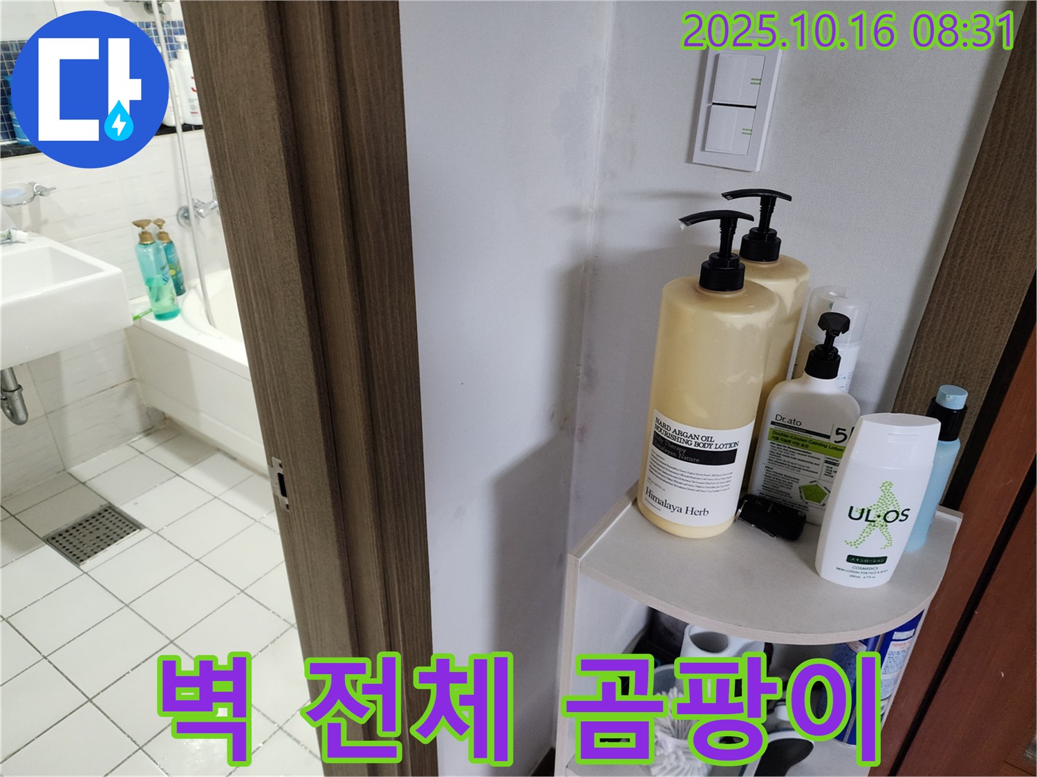 양주 경신리 욕실 누수 - 벽 전체 곰팡이와 물 흘러내림, 심각한 누수 의심