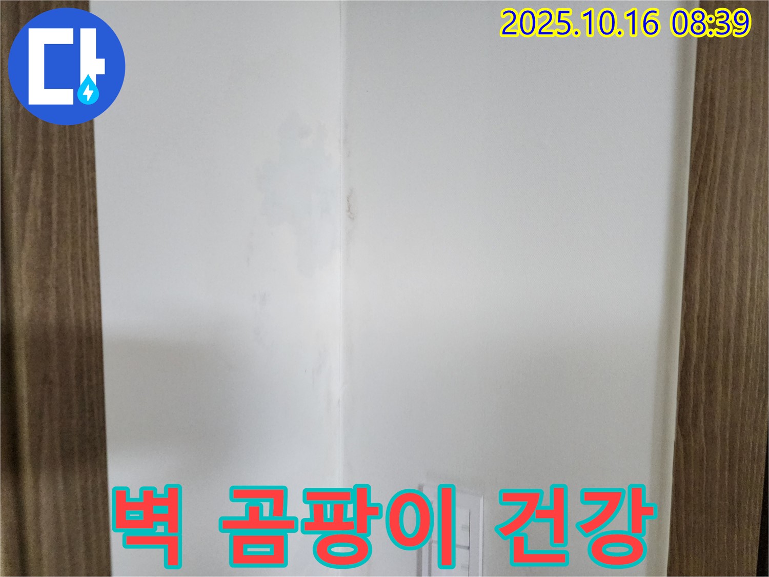 양주 경신리 주택 벽 곰팡이 - 건강 침입자, 누수 점검 시급