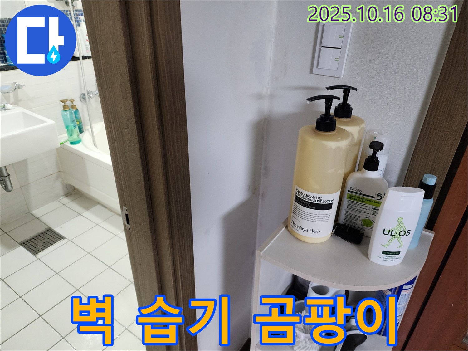 양주 남면 경신리 욕실 누수 - 벽 습기와 곰팡이, 환기 부족 의심
