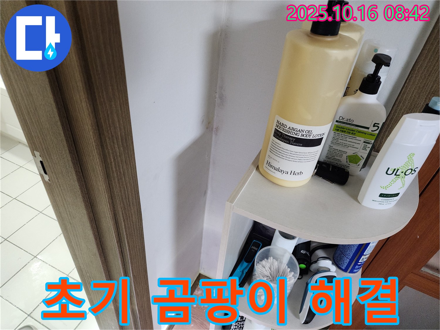 양주시 남면 경신리 욕실 곰팡이 - 초기 대응으로 간단하게 해결!
