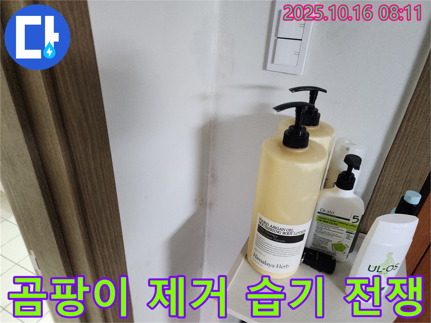 양주시 남면 경신리 욕실 - 벽 곰팡이 제거 - 습기와의 전쟁을 선포합니다!
