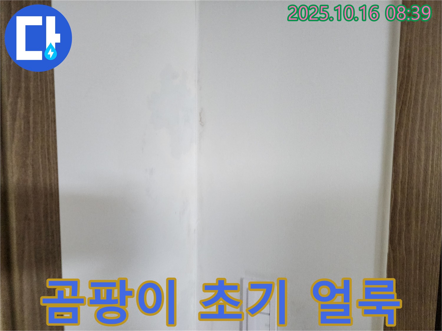 양주시 남면 경신리 주택 곰팡이 초기 - 작은 얼룩도 놓치지 마세요