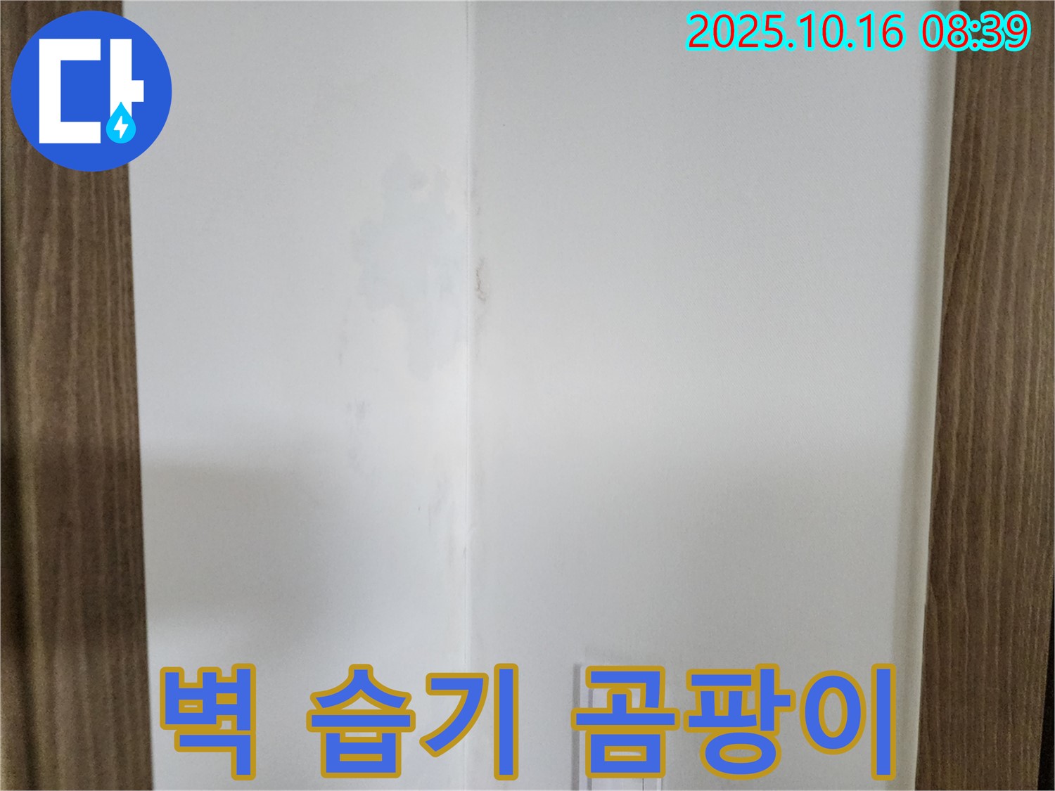 양주시 남면 경신리 주택 벽 모서리 습기 - 곰팡이 속삭임 무시, 누수 탐지 필요