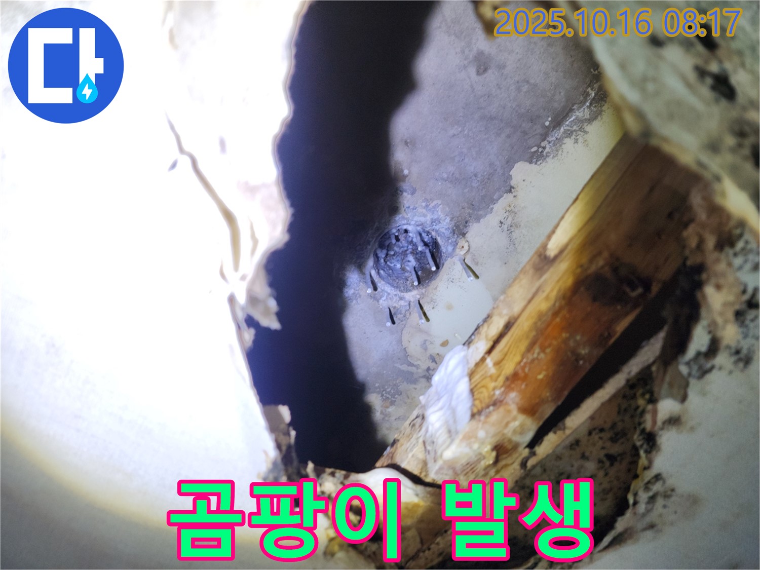 양주시 남면 경신리 천장 누수 - 젖은 석고보드와 곰팡이 발생으로 인한 피해 상황입니다.