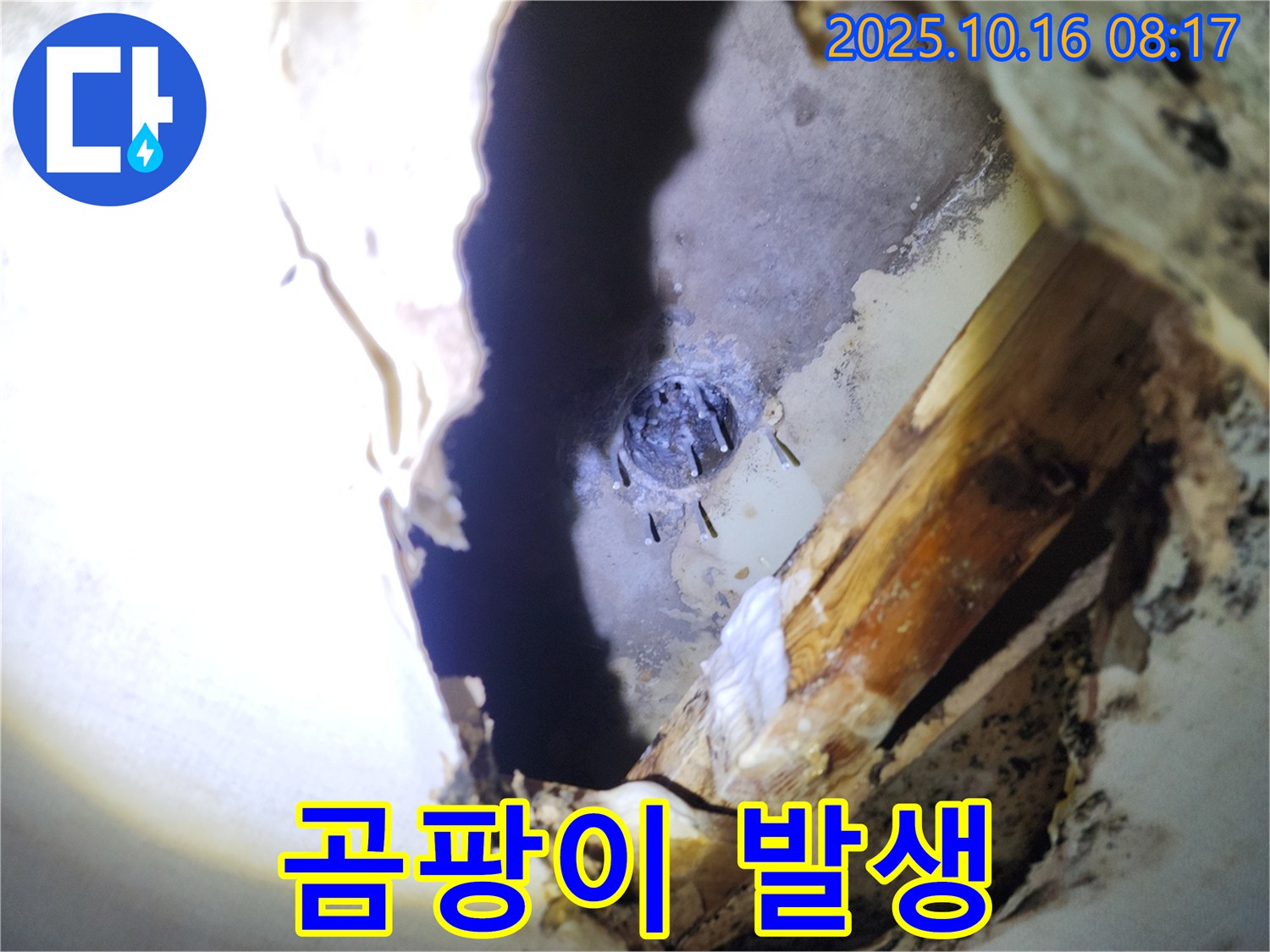 양주시 남면 경신리 천장 누수 - 젖은 석고보드와 곰팡이 발생으로 인한 피해 상황입니다.