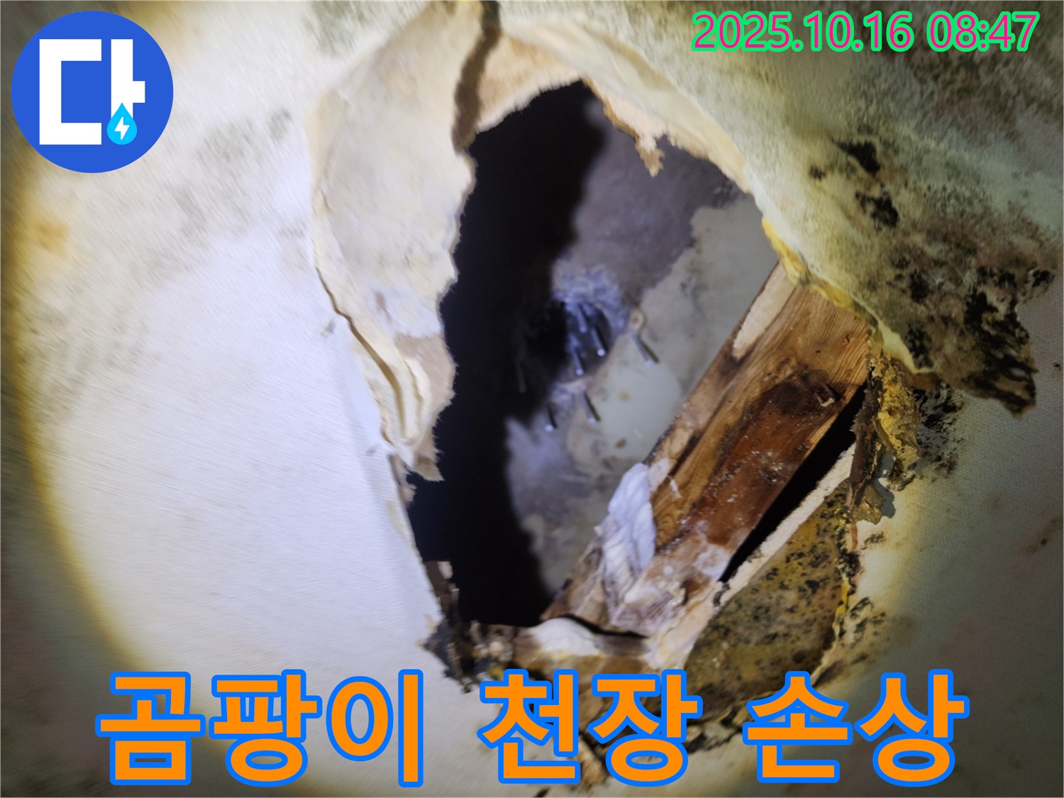 양주시 누수 - 곰팡이와 누수 - 천장 손상의 주범을 찾아 해결하는 전문 누수탐지 과정