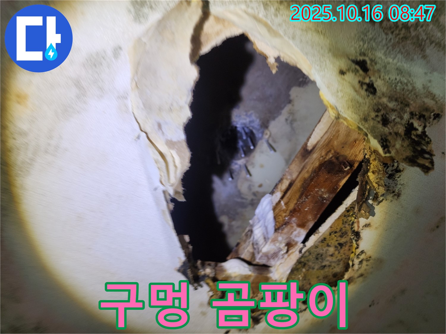 양주시 누수 - 천장 구멍 속 곰팡이와 습기 - 건강을 위협하는 숨겨진 누수, 철저한 점검 및 완벽 차단을 약속드립니다.