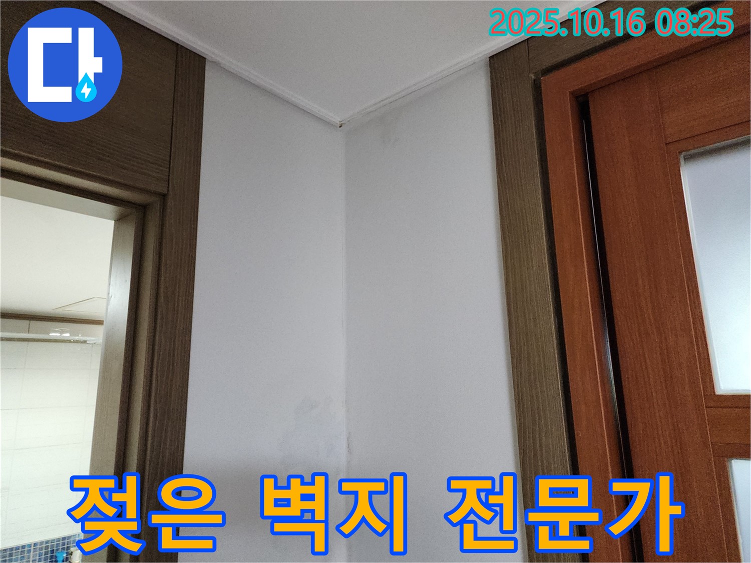 젖은 벽지 - 누수 의심 - 전문가 - 빠른 점검 - 안심 - 빠르게 해결
