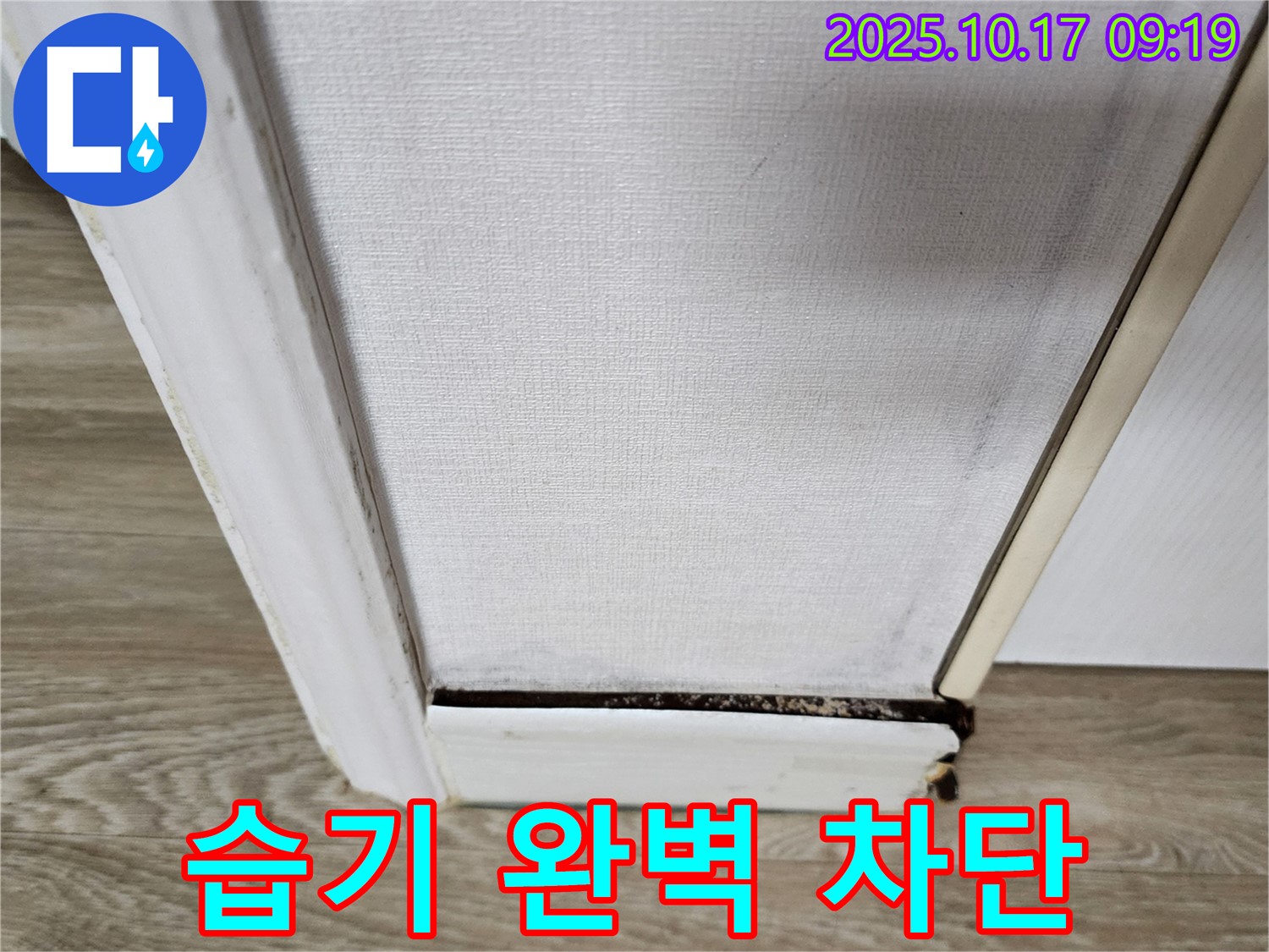 벽 하단 곰팡이 제거 후 완벽 습기 차단 - 곰팡이 없는 깨끗한 공간을 약속드립니다.