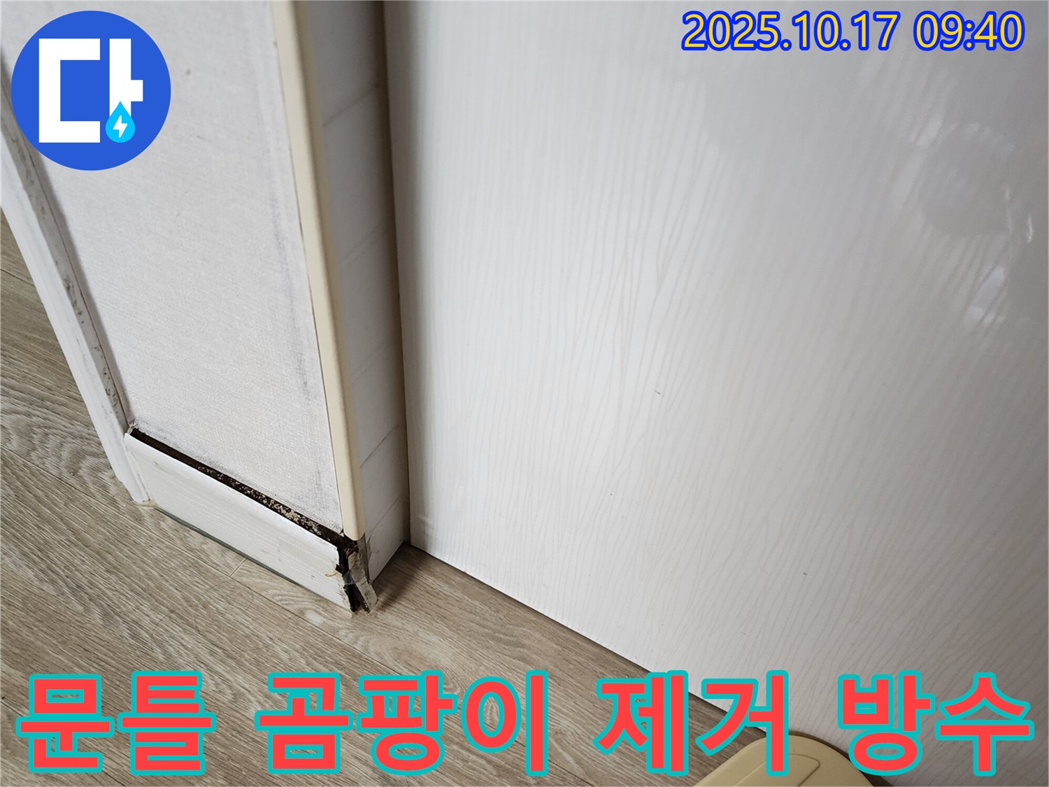 양주 누수 문제 해결 - 문틀 하단 곰팡이 제거와 완벽한 방수 작업 과정