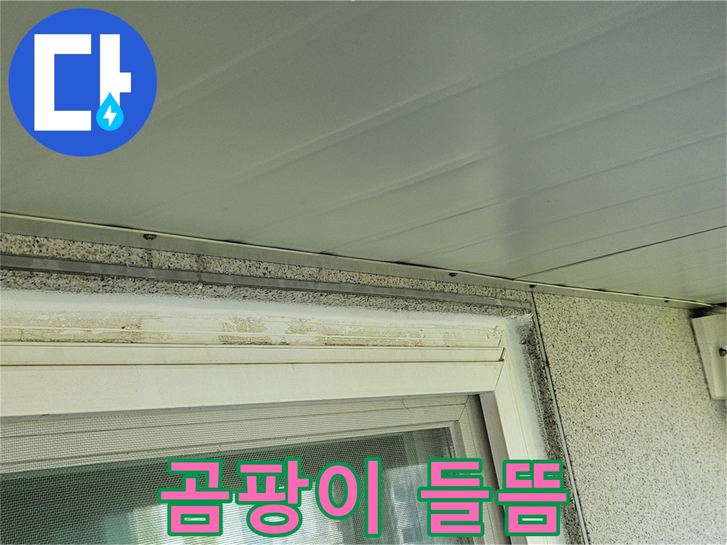 신월동 누수 점검 중 - 창틀 주변 곰팡이와 실리콘 들뜸 현상을 보여주는 사진입니다.