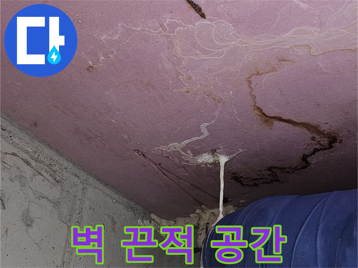 신월동 양천구 누수 - 벽 끈적 액체 - 쾌적한 공간