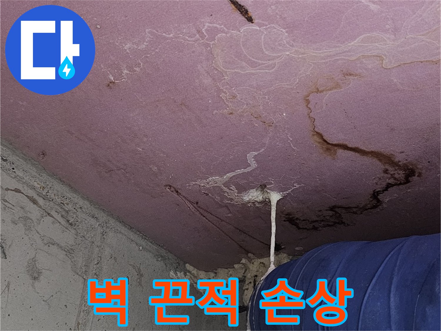 신월동 양천구 누수 - 벽 끈적임 - 건물 가치 하락