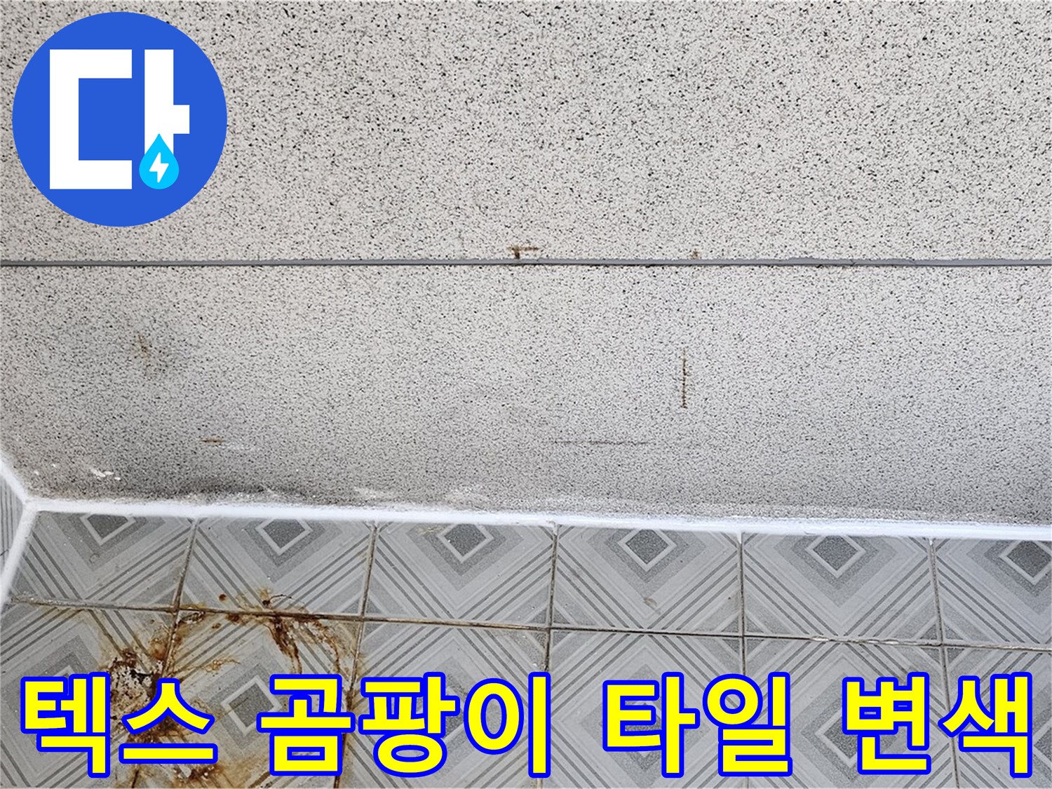 신월동 - 텍스 곰팡이 - 타일 변색 - 구조 문제