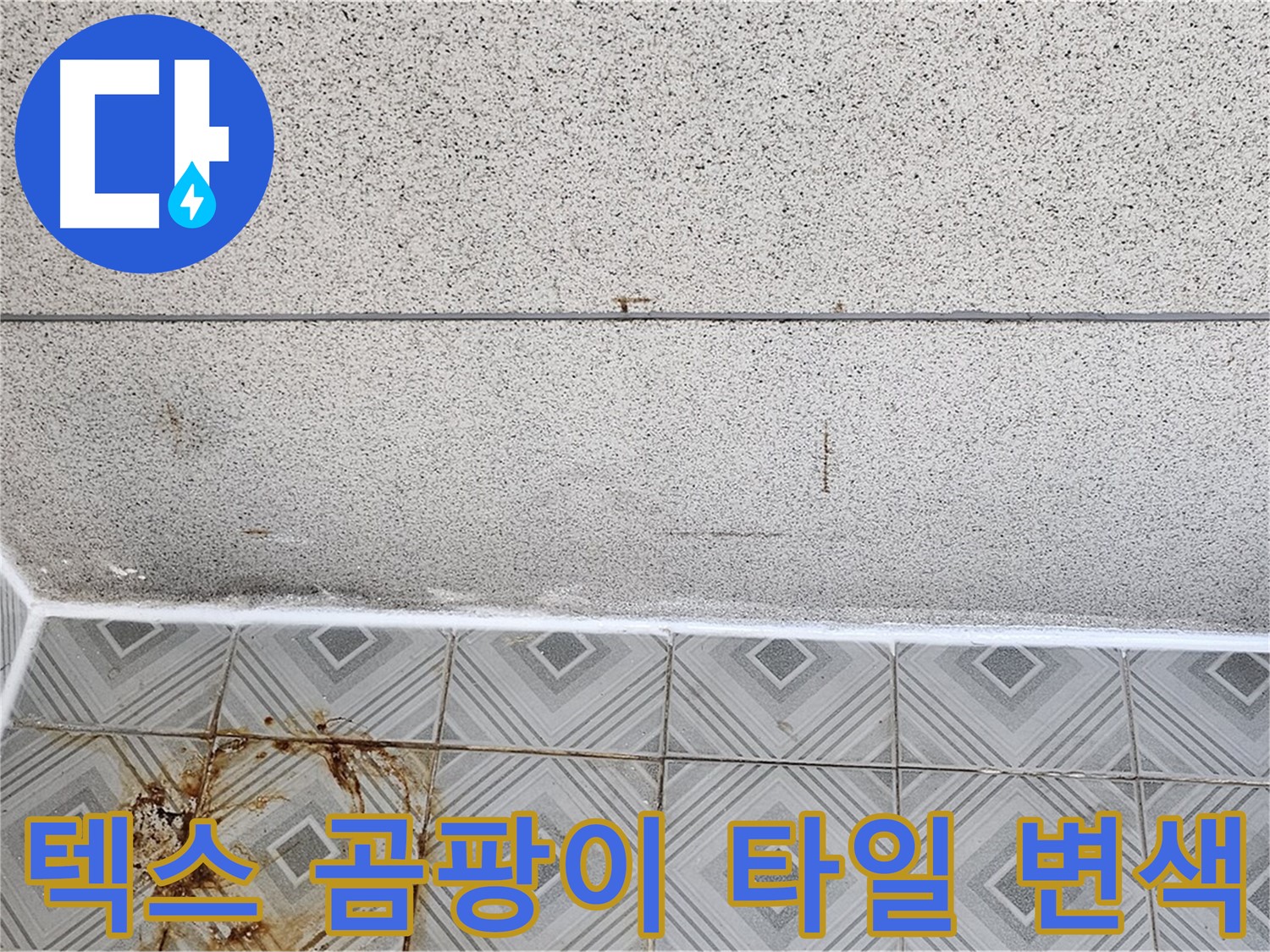 신월동 - 텍스 곰팡이 - 타일 변색 - 구조 문제 의심