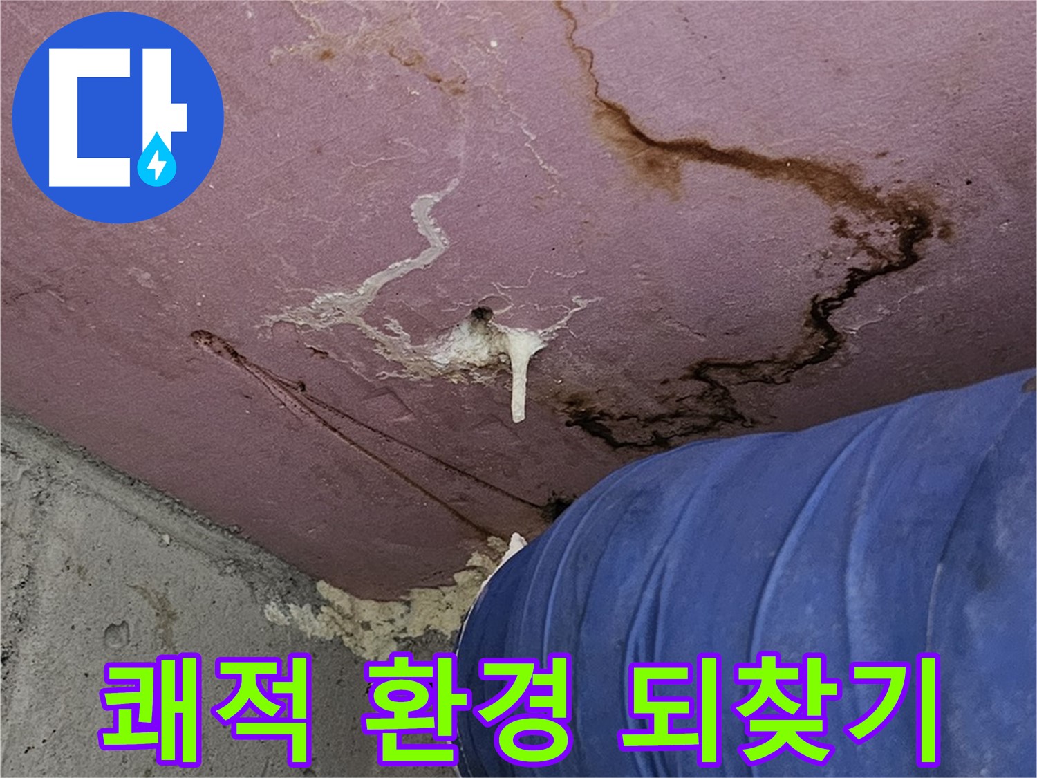 엘리시안 A동 곰팡이 벽 - 쾌적 환경