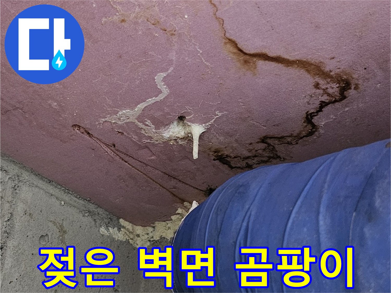 엘리시안 A동 젖은 벽면 - 곰팡이 주의