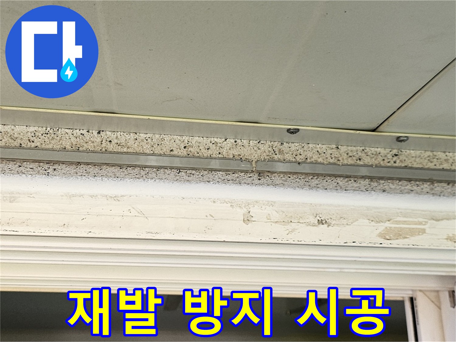 재발 방지 시공 - 누수 재발 방지를 위한 꼼꼼한 시공 과정을 보여줍니다.