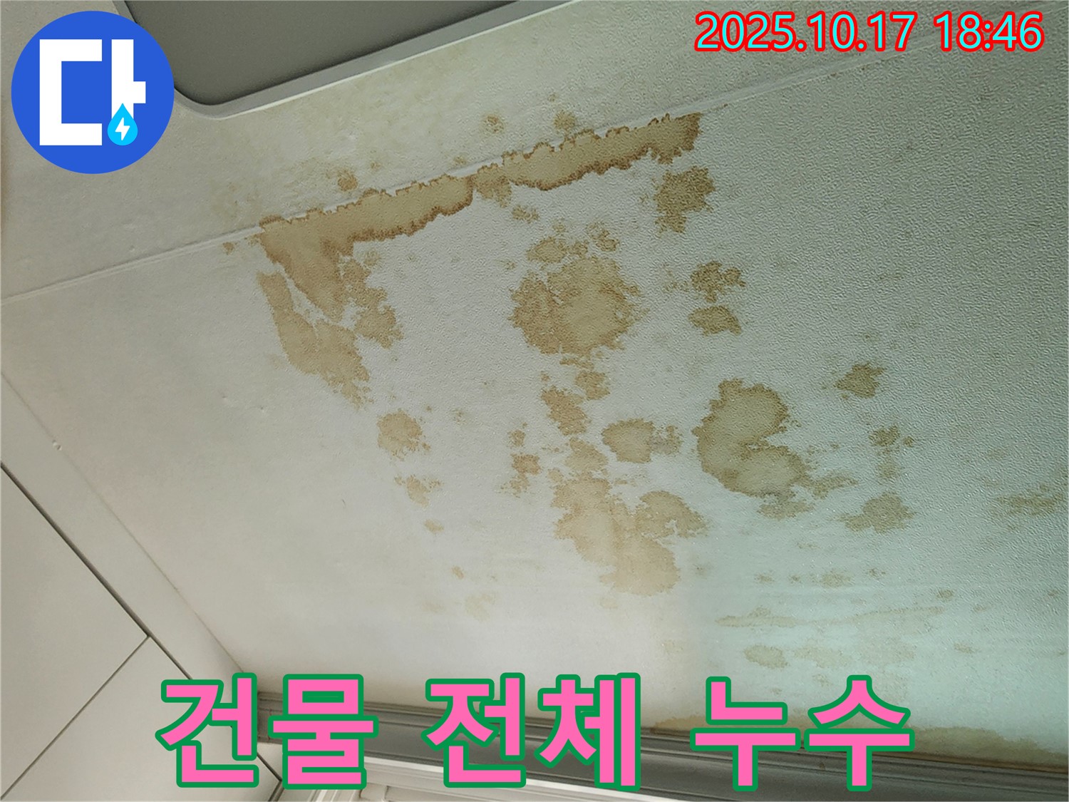 양주시 남면 누수 - 우리 집만 문제? 건물 전체 누수일 수도 - 누수 전문가