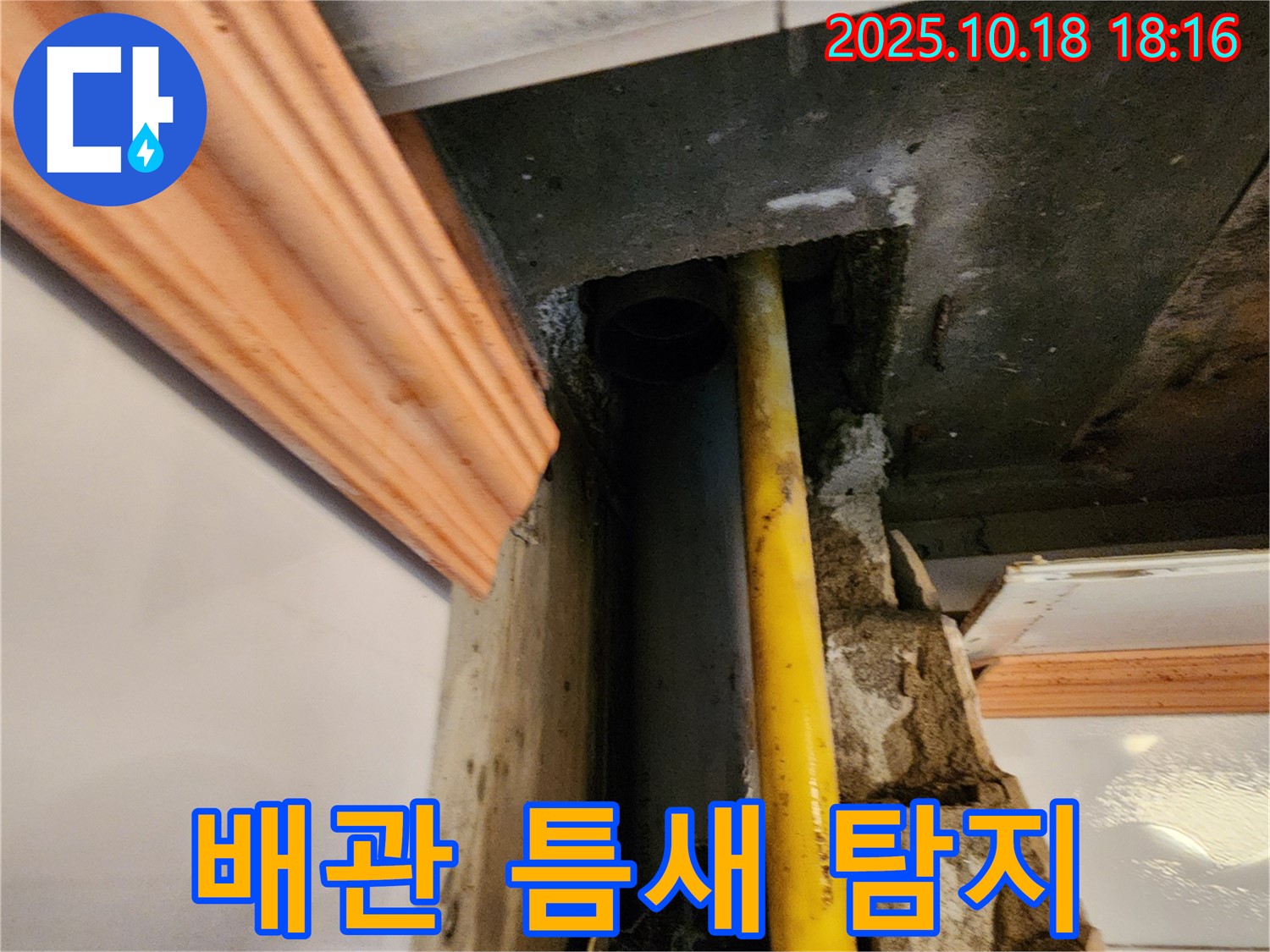 양주시 장흥면 교현리 누수 현장 - 누수 탐지 장비를 사용하여 노후 배관 틈새 누수 지점을 찾는 모습입니다 - 꼼꼼하게 탐지!