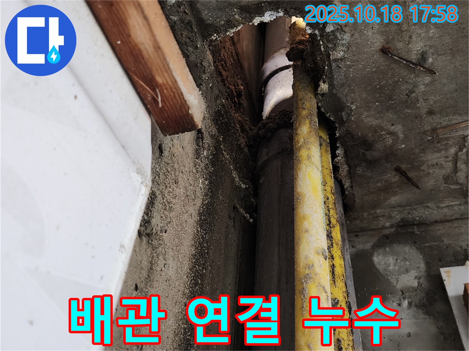 양주시 장흥면 누수 - 배관 연결부 누수 의심 - 누수탐지 전문가가 꼼꼼하게 진단합니다.