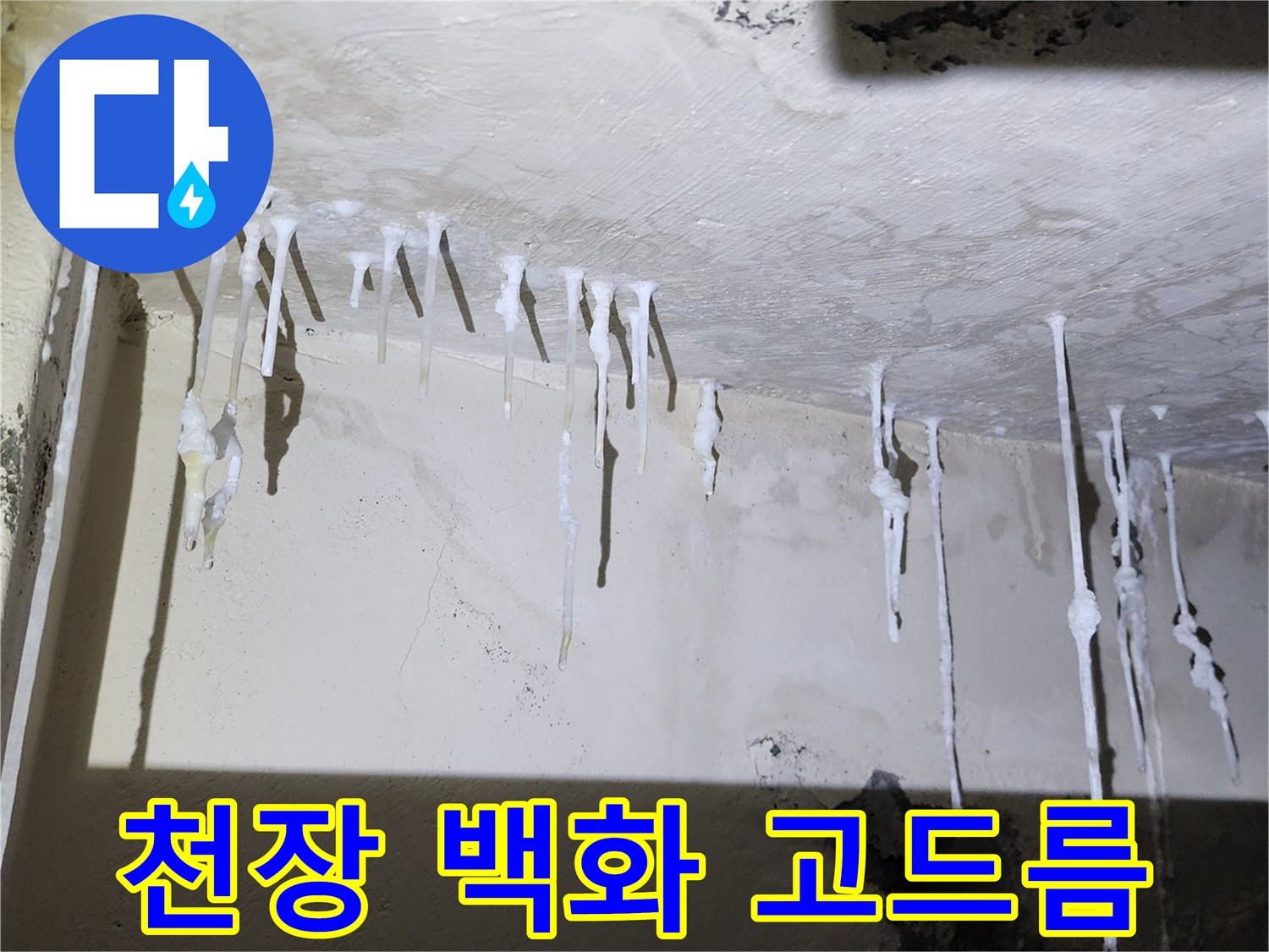 화장실-천장에서-발생한-하얀색-석회-고드름-현상