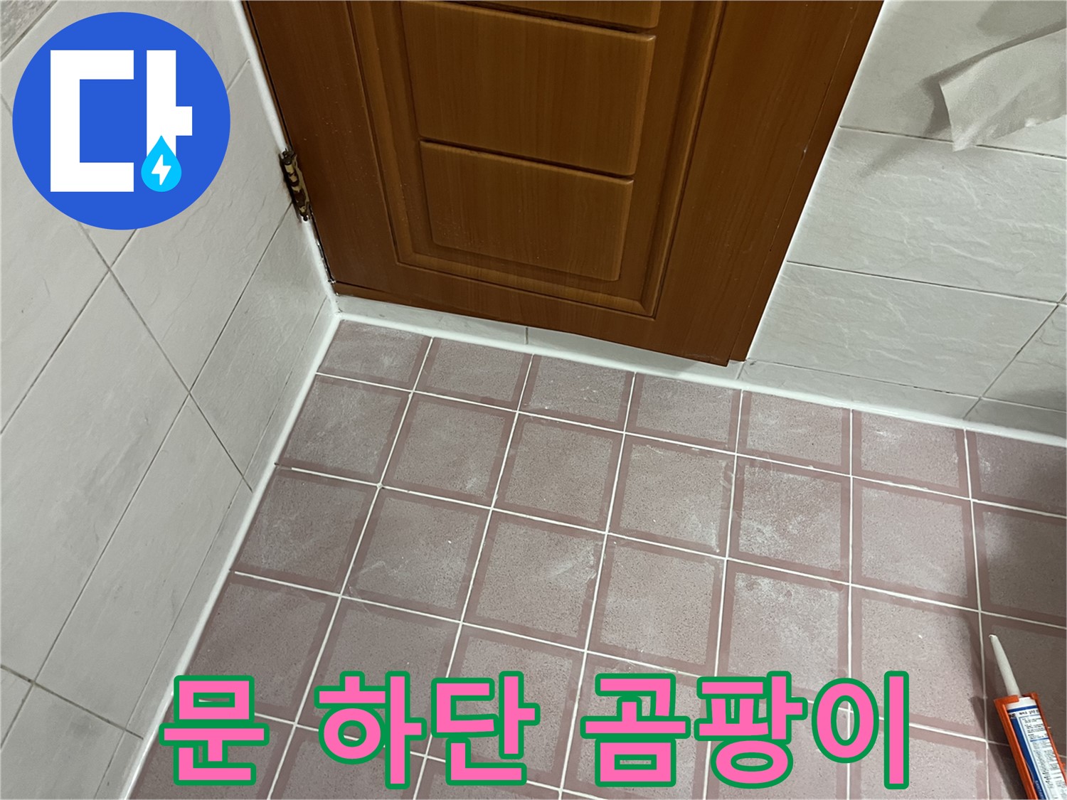 금천구 독산동 형제맨션빌 욕실 - 문 하단 타일 곰팡이와 누수 흔적 정밀 진단