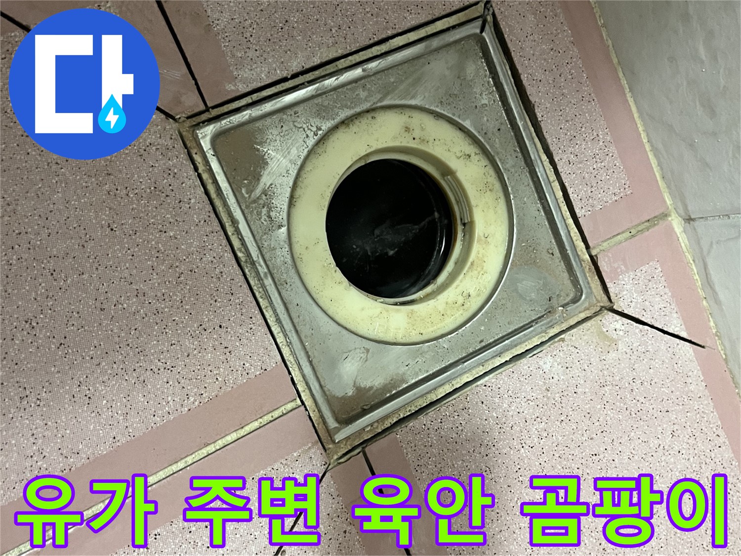 금천구 독산동 형제빌 유가 주변 육안 및 곰팡이 점검 - 종합 누수 진단