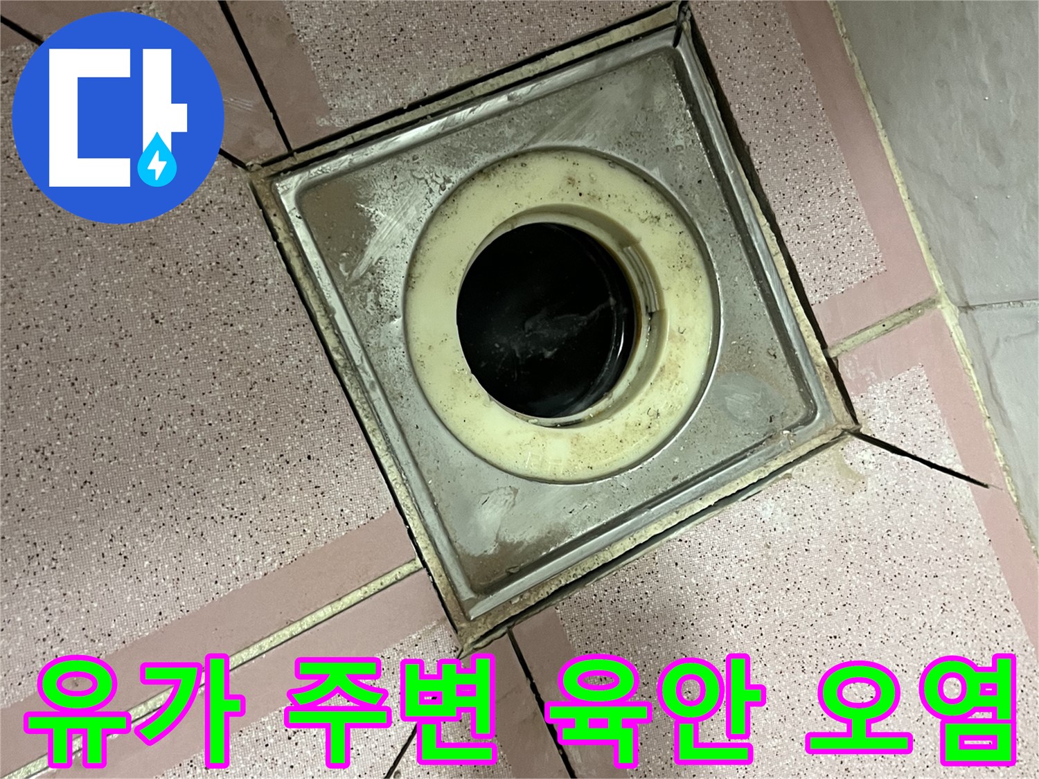 금천구 독산동 형제빌 유가 주변 육안 및 오염 점검 - 종합 누수 진단