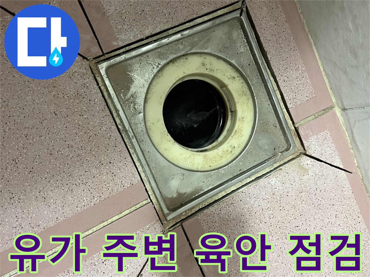 금천구 독산동 형제빌 유가 주변 육안 점검 - 종합 누수 진단
