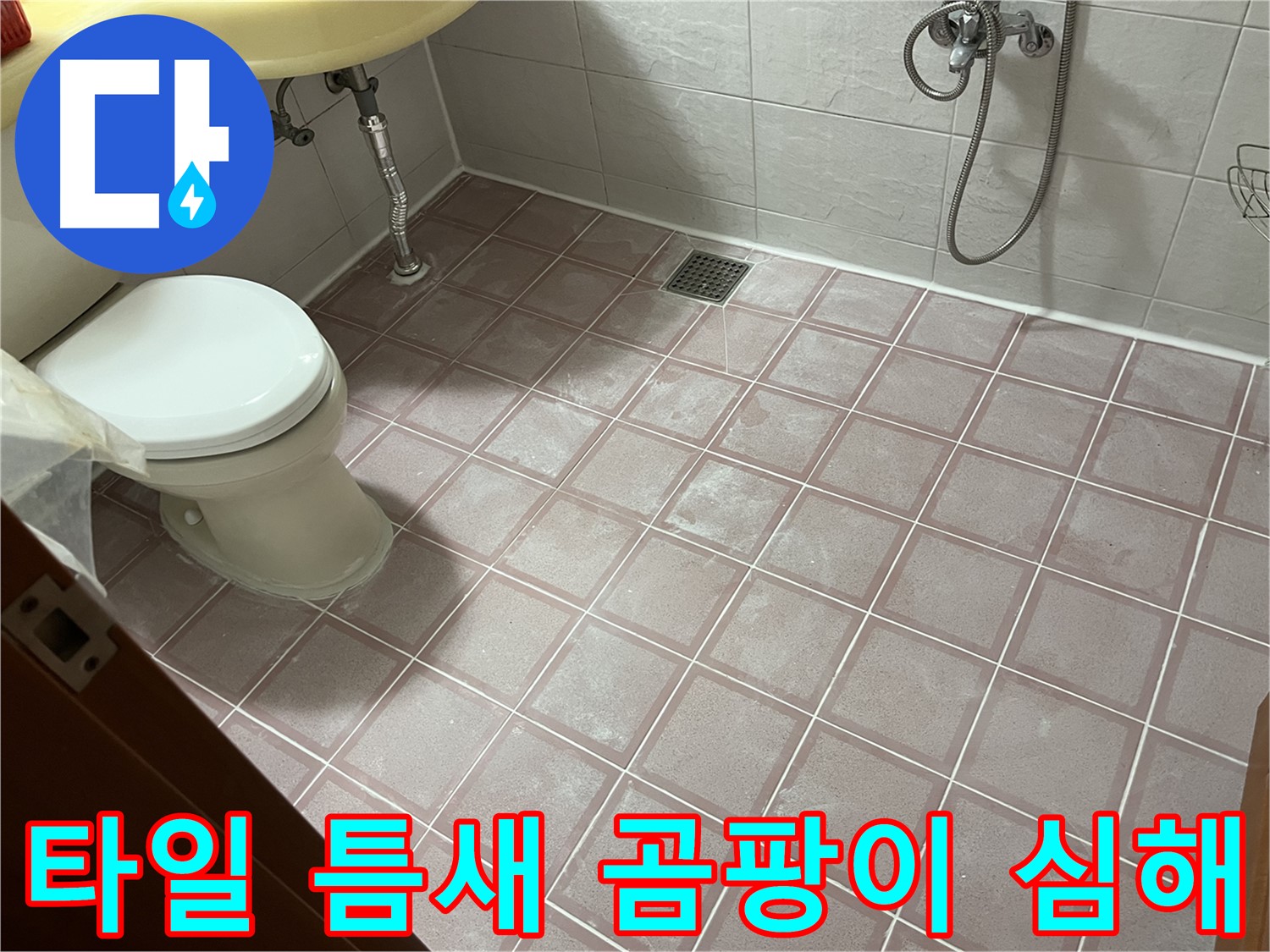 금천구 독산동 형제빌 - 타일 틈새 곰팡이 심해, 곰팡이 제거 - 줄눈