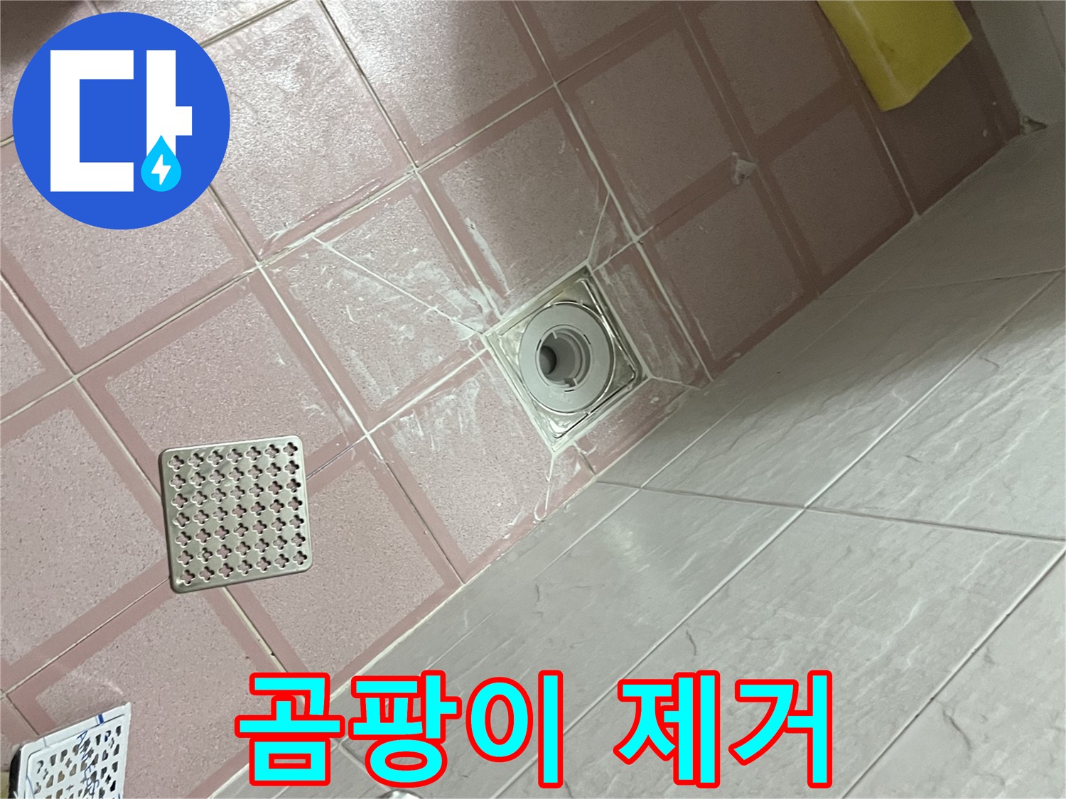 독산동 형제맨션빌 욕실 누수 - 배수구 주변 곰팡이 제거