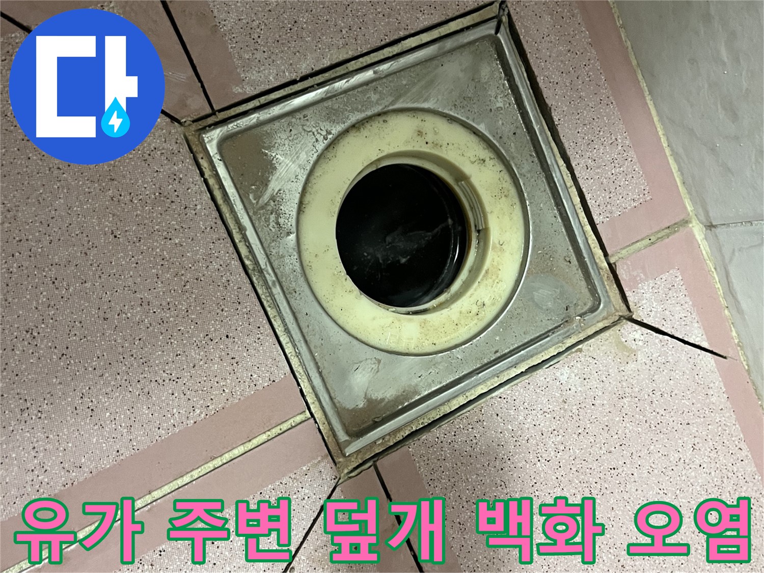 독산동 형제빌 욕실 유가 주변 배수구 덮개 백화 및 오염 여부 점검