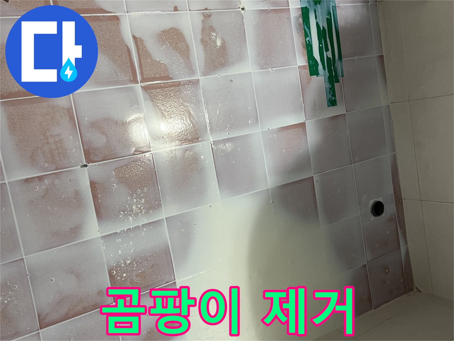 타일 바닥 - 곰팡이 제거 효과