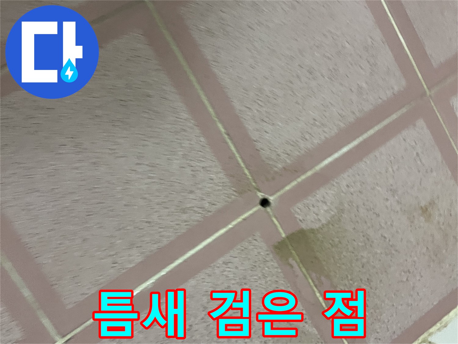 타일 틈새 검은 점 - 형제맨션 누수
