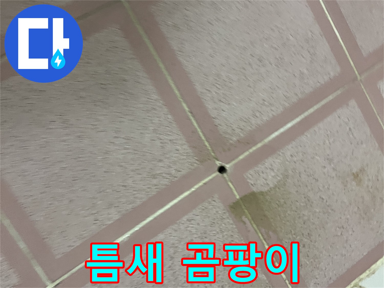 타일 틈새 곰팡이 - 형제맨션 누수