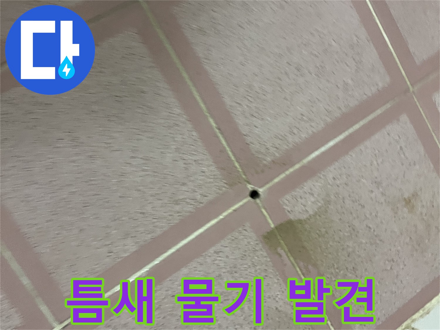 타일 틈새 물기 발견 - 형제맨션 누수