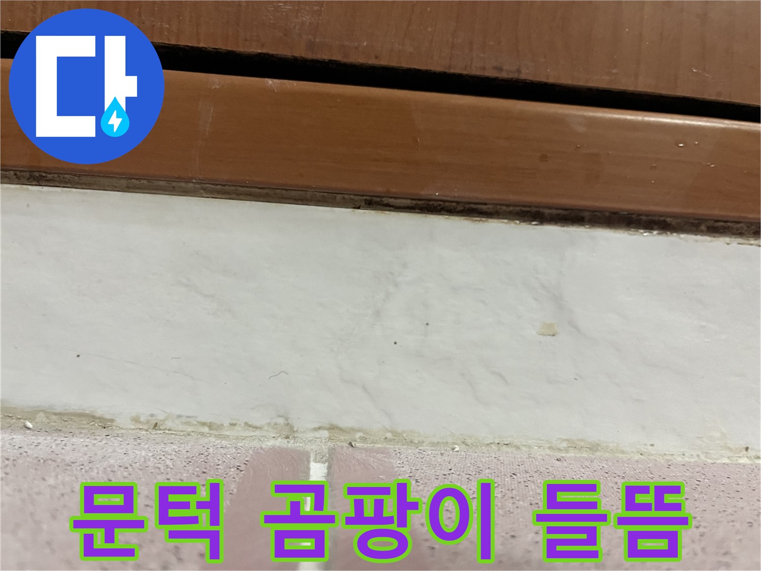 형제맨션빌 누수 - 문턱 아래 타일 틈새 곰팡이와 들뜸
