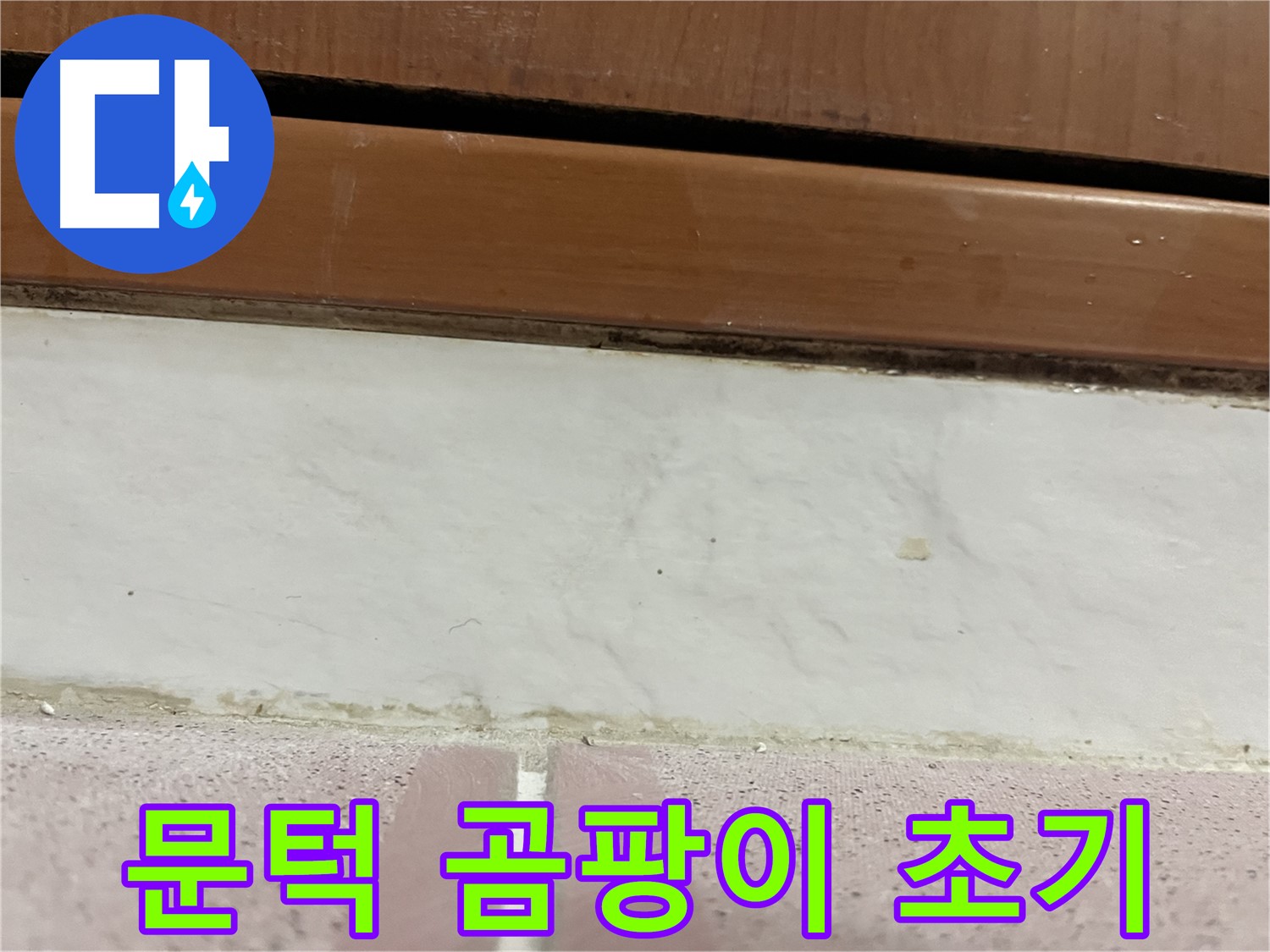 형제맨션빌 누수 - 문턱 아래 타일 틈새 곰팡이와 습기 초기 증상