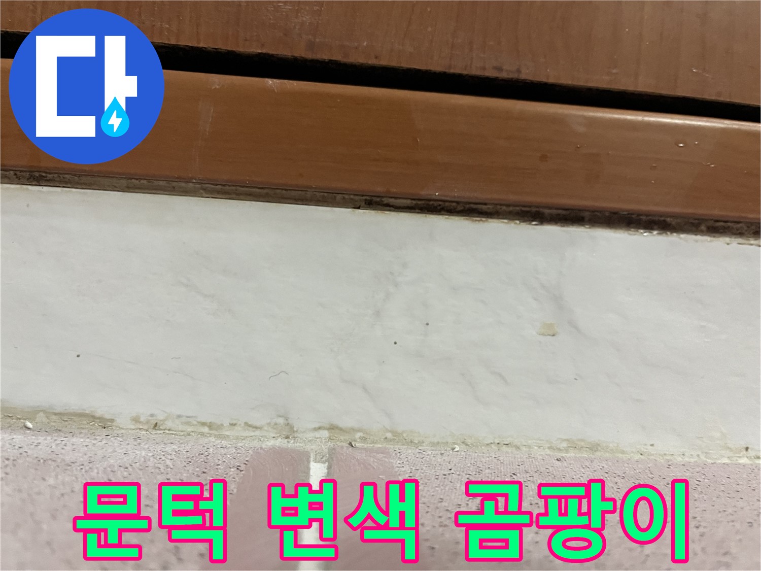 형제맨션빌 누수 - 문턱 주변 타일 틈새 백시멘트 변색과 곰팡이