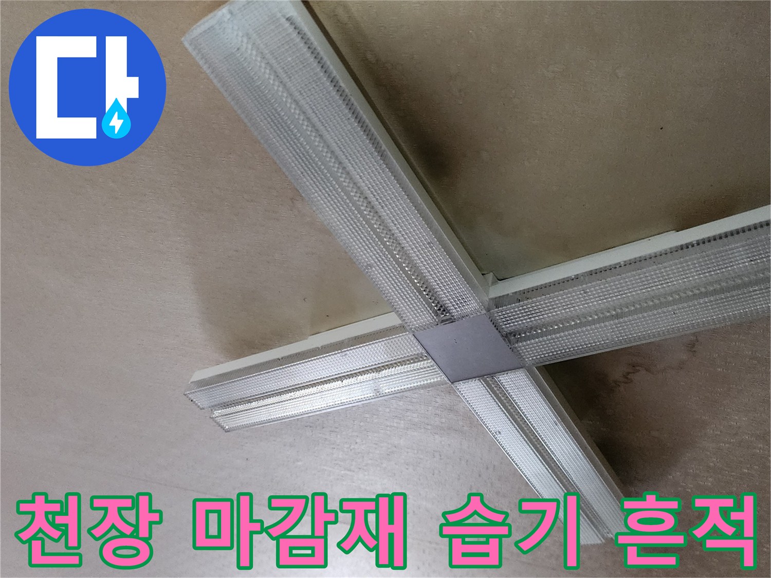 천장 조명 주변의 젖은 듯한 얼룩과 변색 부위