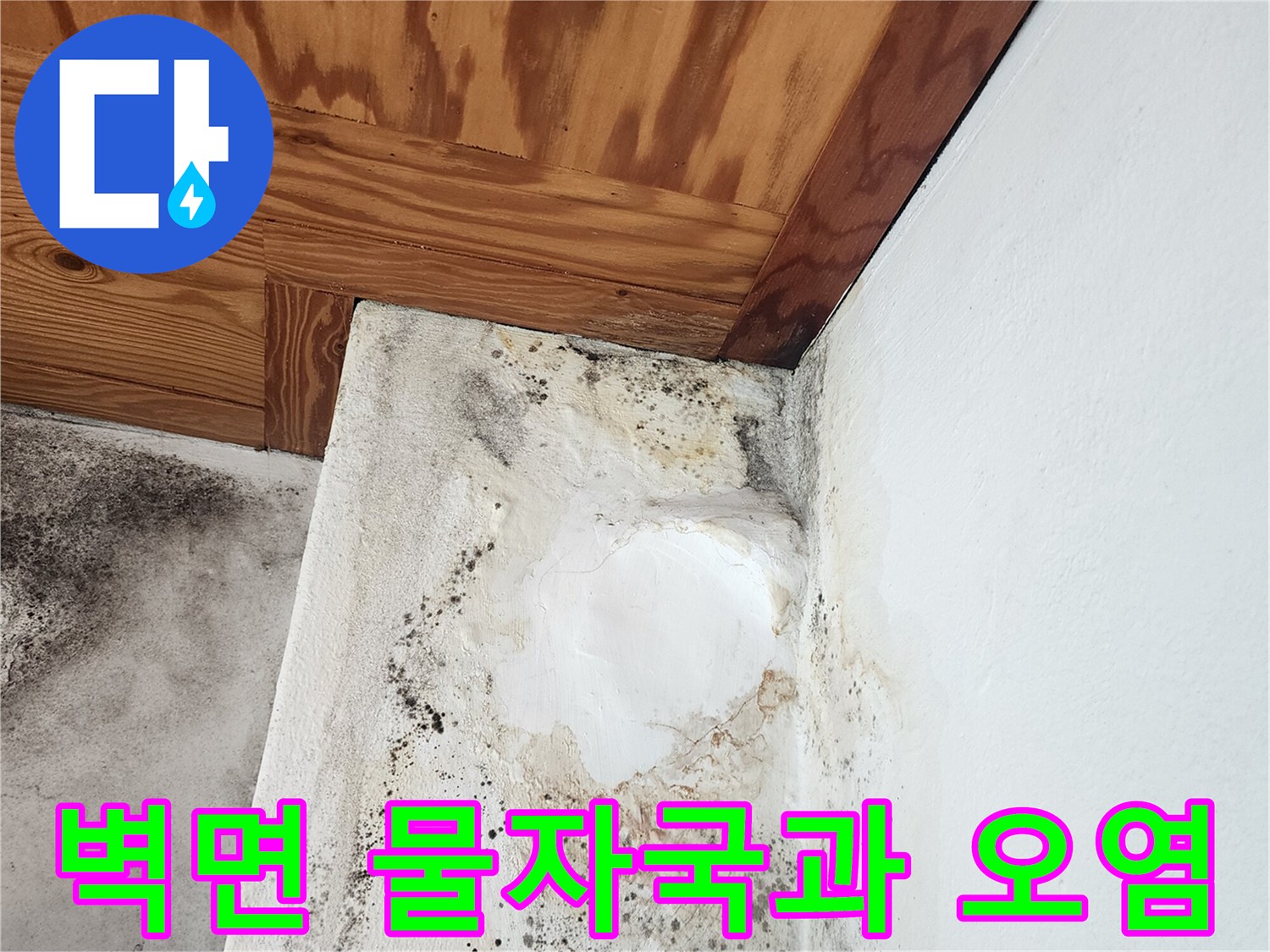다용도실 벽체-젖은 흔적과 곰팡이 발생 부위