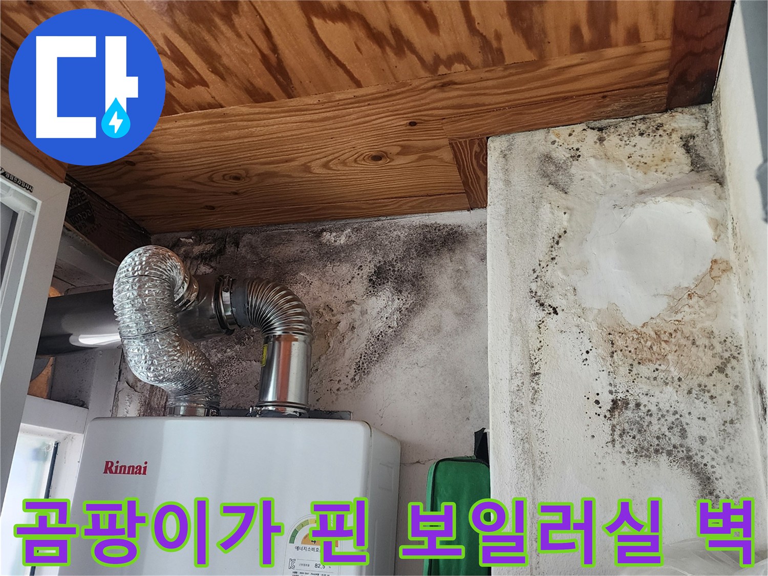 보일러 연통 주변의 누수 흔적과 곰팡이 오염 상태