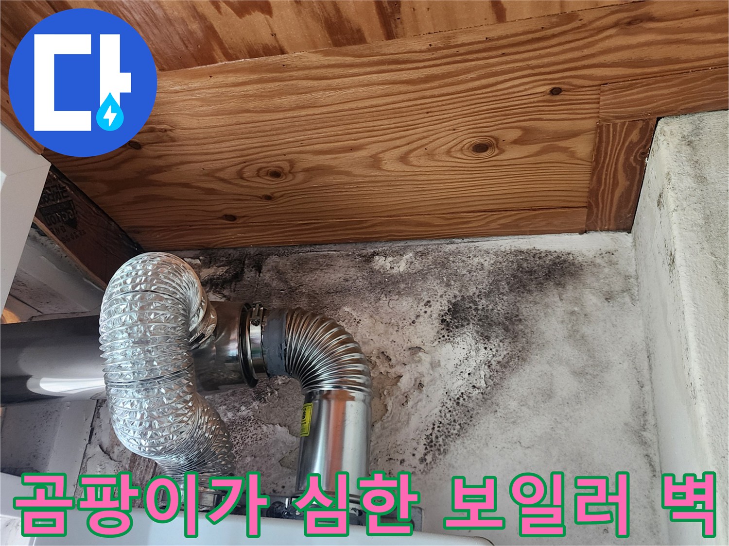 보일러 연통 주변의 심각한 곰팡이 오염 상태